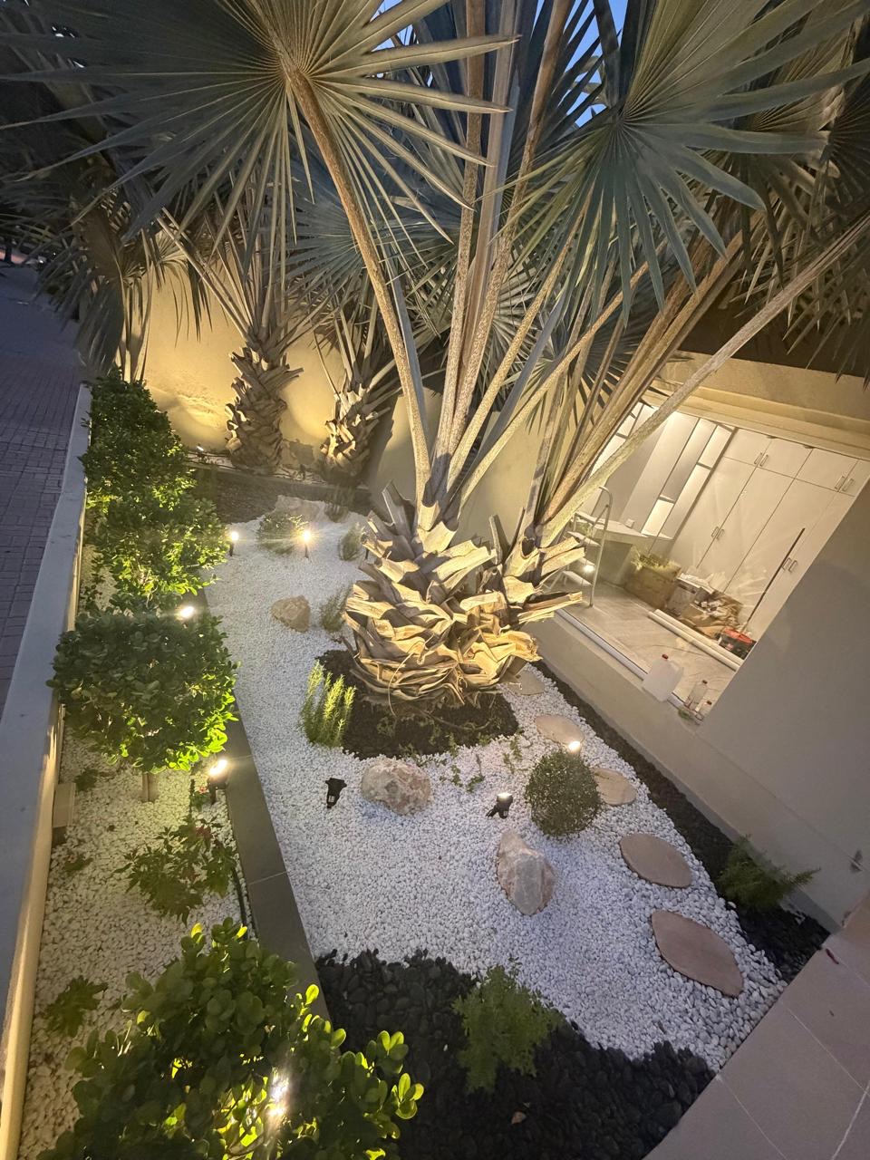 Side garden after landscaping: lit stone mulch bed beneath palms.